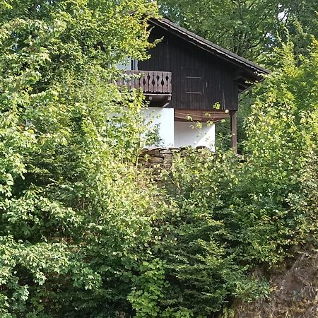 Burgberg Schoellnstein Iggensbach Екстериор снимка