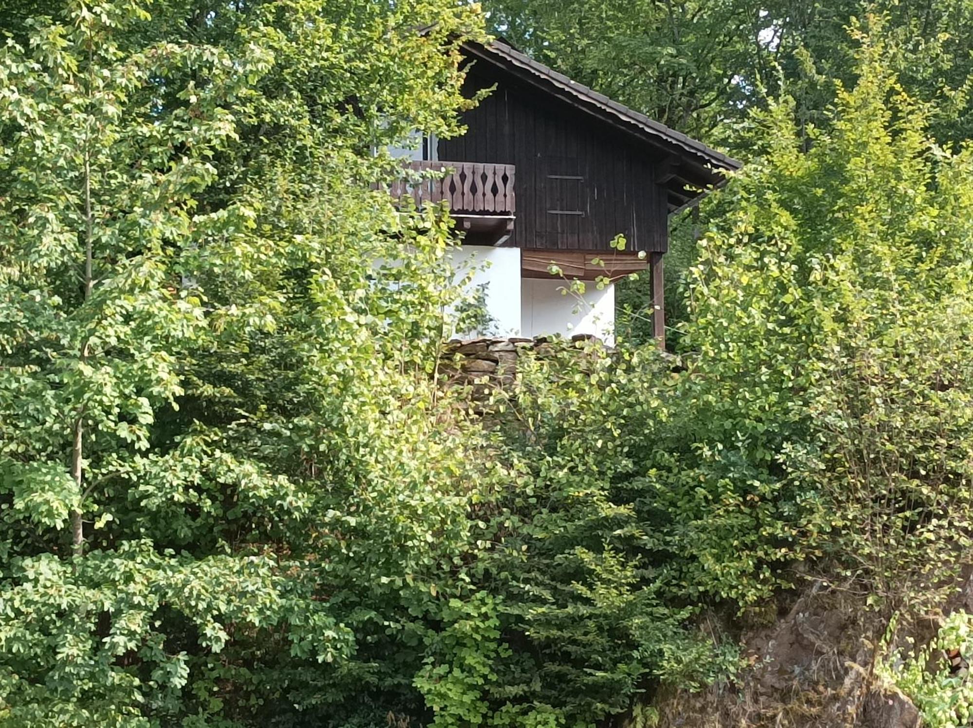 Burgberg Schoellnstein Iggensbach Екстериор снимка