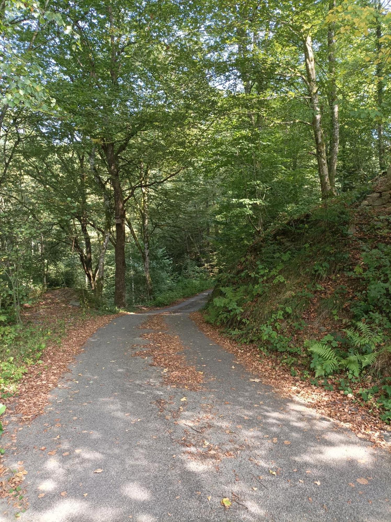 Burgberg Schoellnstein Iggensbach Екстериор снимка