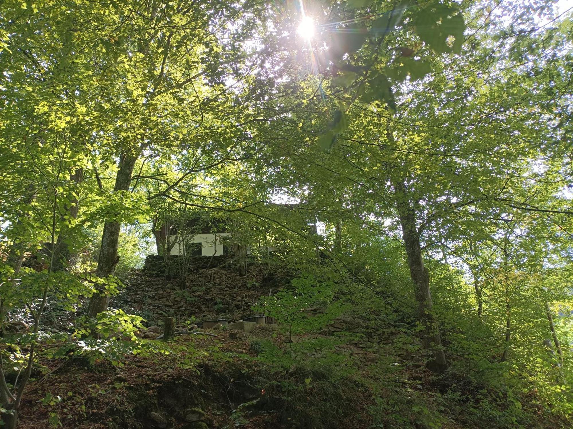 Burgberg Schoellnstein Iggensbach Екстериор снимка